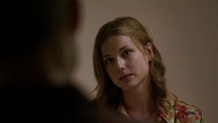 Emily van Camp pic #1260433