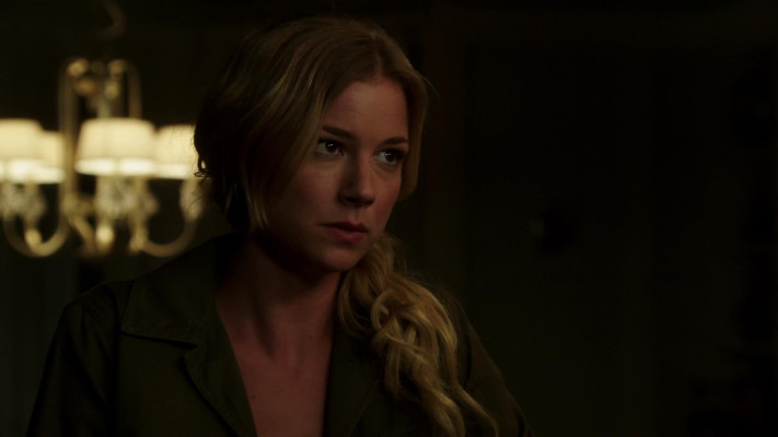 Emily van Camp pic #1227393