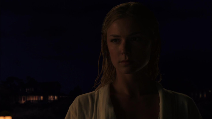 Emily van Camp pic #1227400