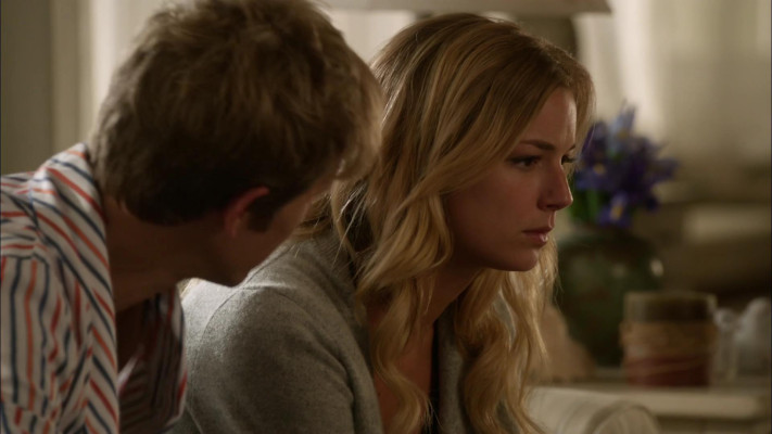 Emily van Camp pic #1220283
