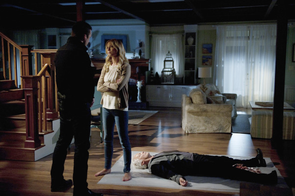 Emily van Camp pic #1238413