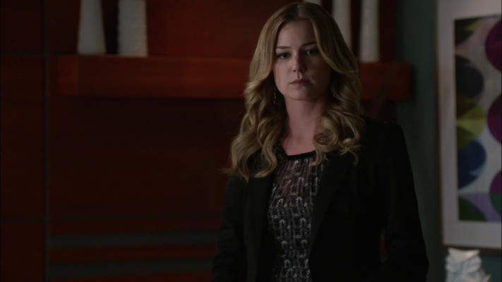 Emily van Camp pic #1218646