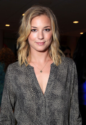 Emily van Camp pic #1251881