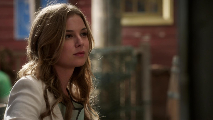 Emily van Camp pic #1276921