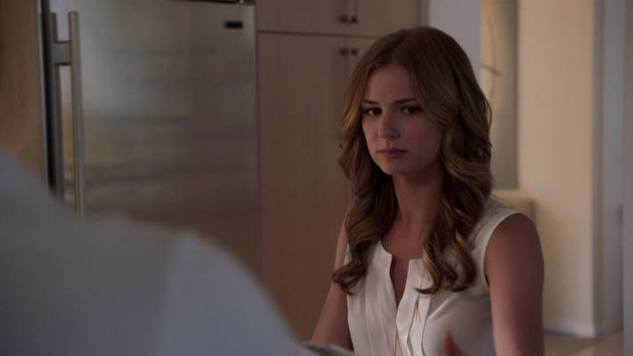 Emily van Camp pic #1225384