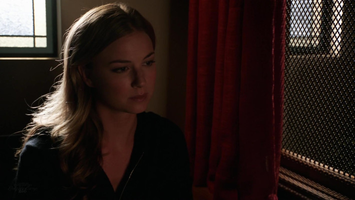 Emily van Camp pic #1216381