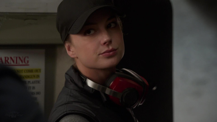 Emily van Camp pic #1218301