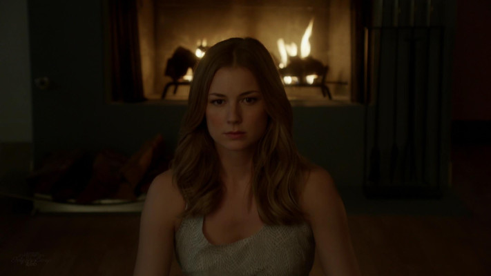 Emily van Camp pic #1218302