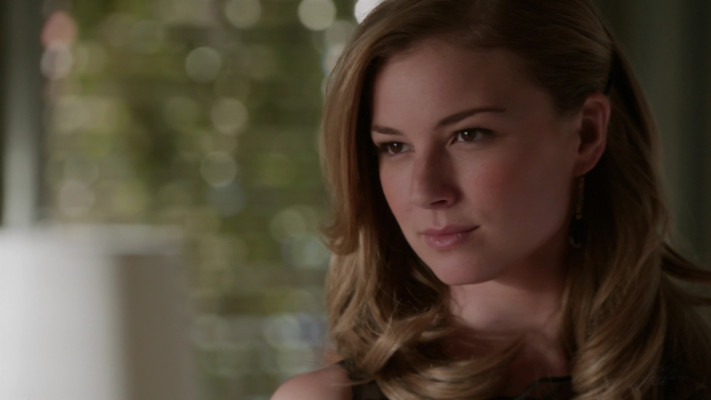 Emily van Camp pic #1231216