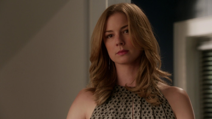 Emily van Camp pic #1231223