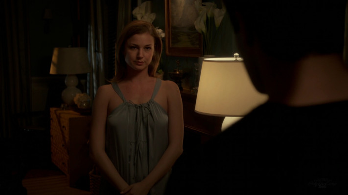 Emily van Camp pic #1231132
