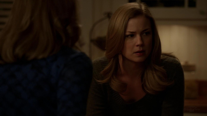 Emily van Camp pic #1271991