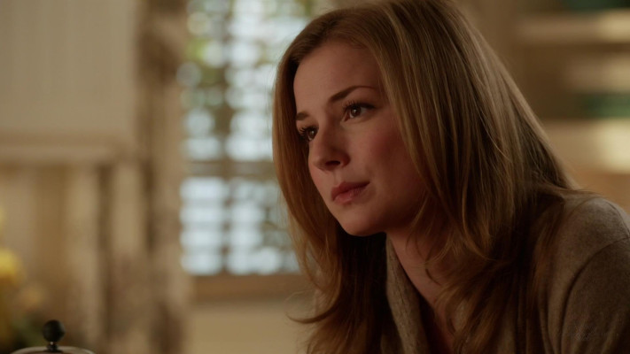 Emily van Camp pic #1216695