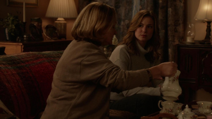 Emily van Camp pic #1216688