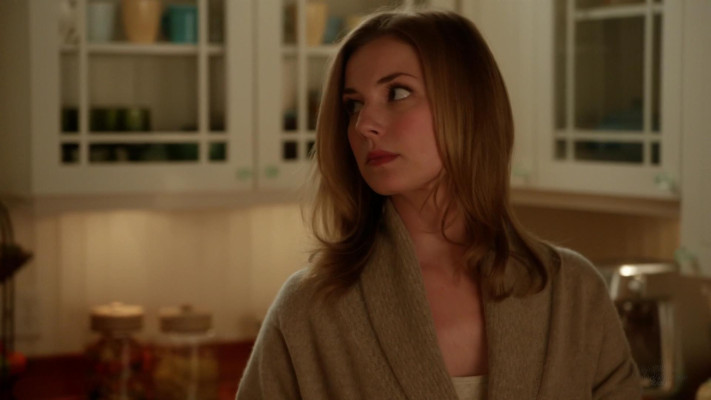 Emily van Camp pic #1216702