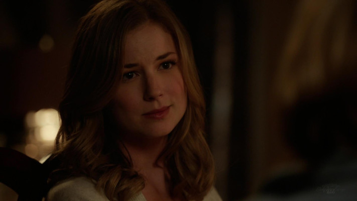 Emily van Camp pic #1216700