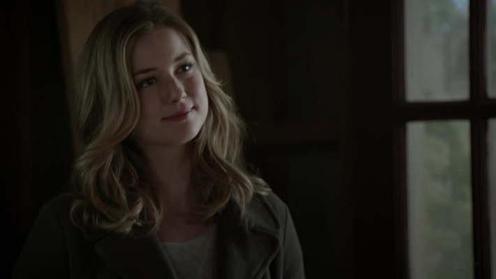 Emily van Camp pic #1216691