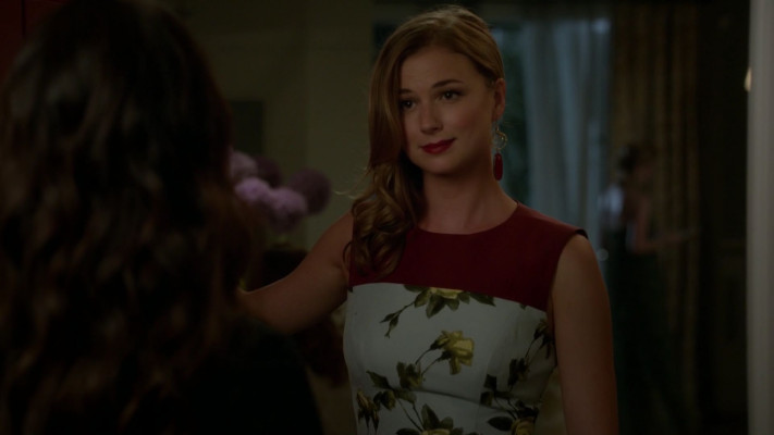 Emily van Camp pic #1279618