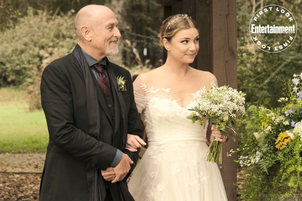 Emily van Camp pic #1242389