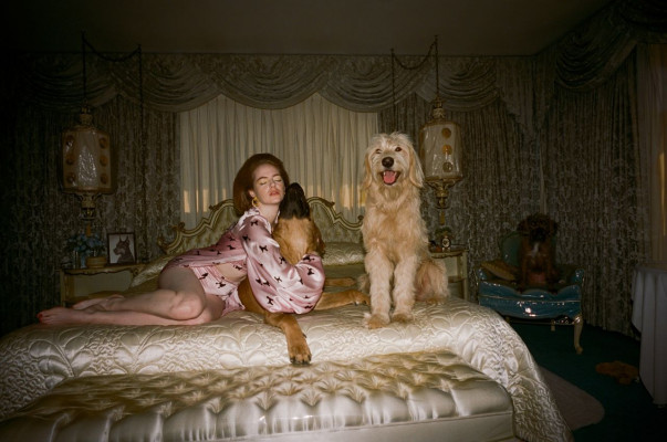 photo 17 in Emma Stone gallery [id1106927] 2019-02-15 00:00:00