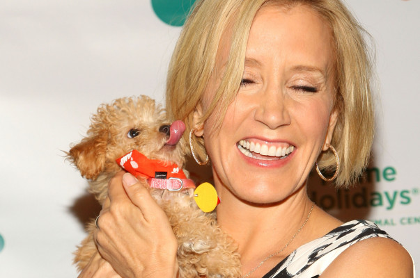 Felicity Huffman pic #263921