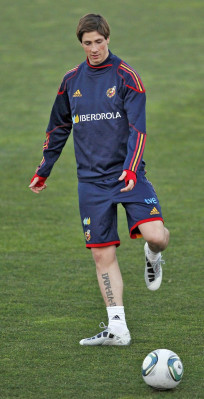 Fernando Torres pic #608483
