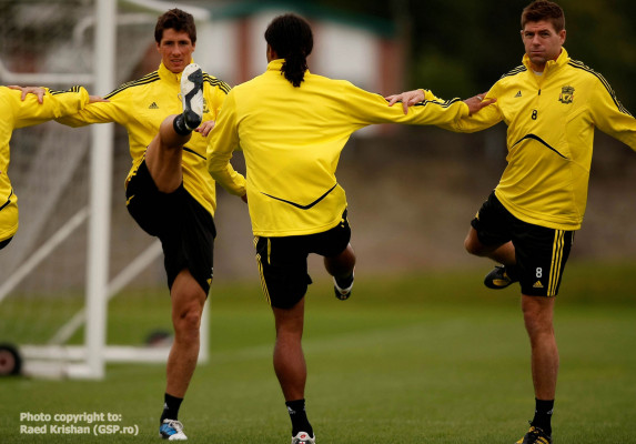 photo 12 in Fernando Torres gallery [id612733] 2013-06-26 00:00:00