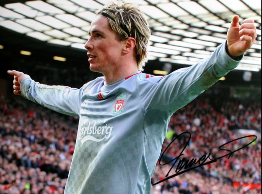 Fernando Torres pic #268706