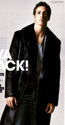 Fernando Torres pic #108165