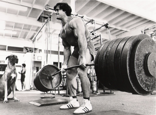 photo 6 in Franco Columbu gallery [id233011] 2010-02-03 00:00:00