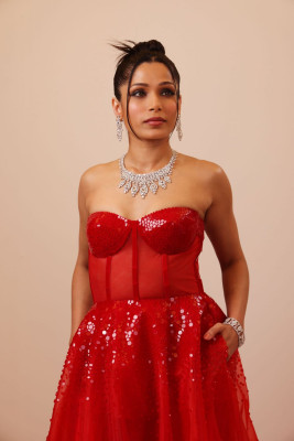 Freida Pinto pic #1340663