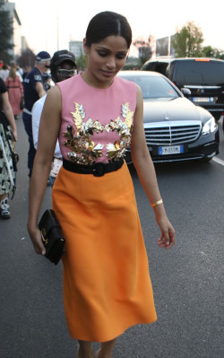 Freida Pinto pic #1069698