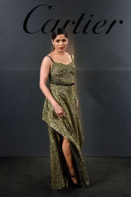 Freida Pinto pic #1027158