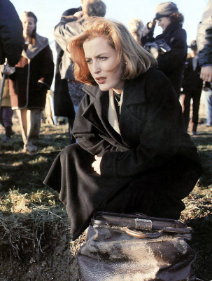 photo 15 in Gillian Anderson gallery [id53800] -0001-11-30 00:00:00