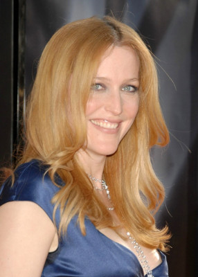 photo 20 in Gillian Anderson gallery [id105861] 2008-08-05 00:00:00