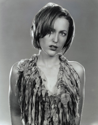 photo 21 in Gillian Anderson gallery [id32502] -0001-11-30 00:00:00