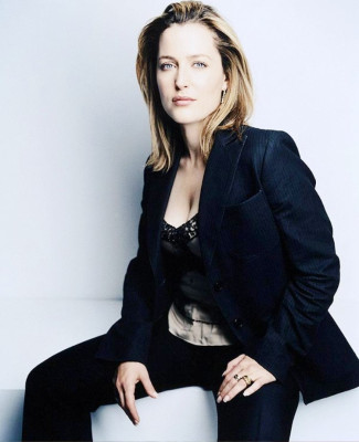 photo 8 in Gillian Anderson gallery [id83242] -0001-11-30 00:00:00