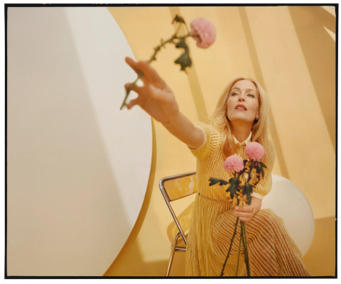 photo 8 in Gillian Anderson gallery [id1256378] 2021-05-26 00:00:00