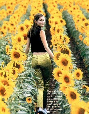 Gisele Bundchen pic #169086