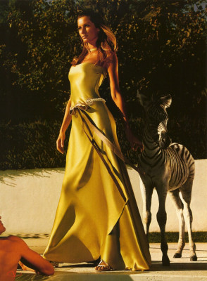 Gisele Bundchen pic #106510