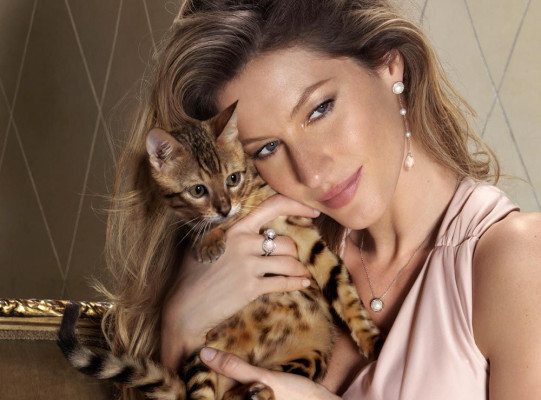 Gisele Bundchen pic #370480
