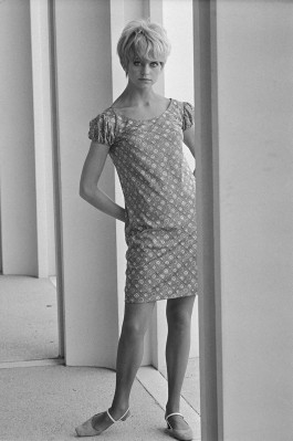 photo 20 in Goldie Hawn gallery [id202933] 2009-11-19 00:00:00