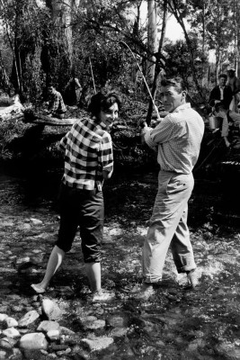 Gregory Peck pic #350581