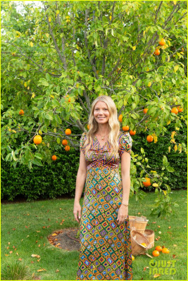 Gwyneth Paltrow pic #1049935