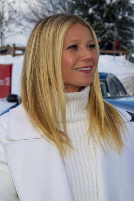 photo 7 in Paltrow gallery [id890415] 2016-11-04 00:00:00