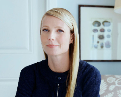 Gwyneth Paltrow pic #891450