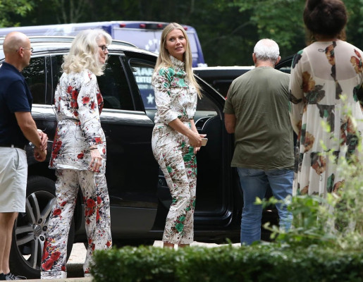 Gwyneth Paltrow pic #952394