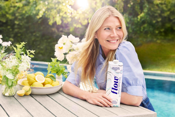 Gwyneth Paltrow pic #1145225