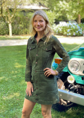Gwyneth Paltrow pic #1229844
