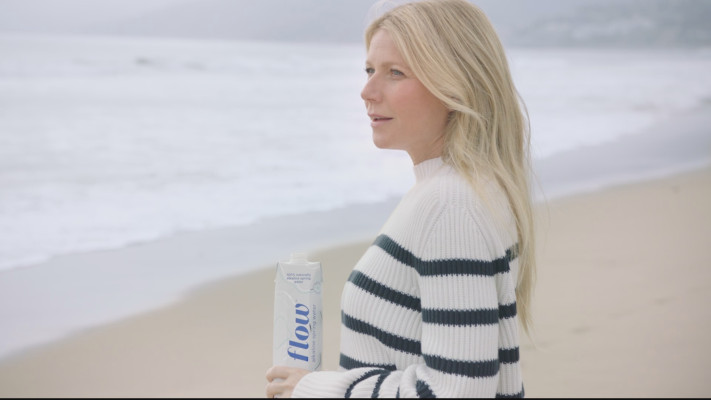 Gwyneth Paltrow pic #1169840